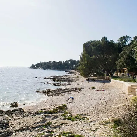 Nyaraló Holiday M